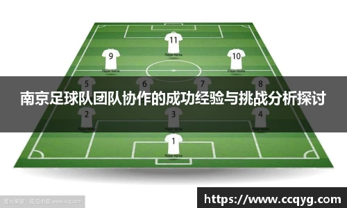 w66南京足球队团队协作的成功经验与挑战分析探讨